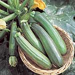 Unbranded Courgette Zucchini F1 Seeds