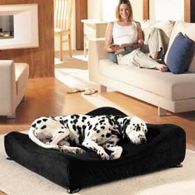 Unbranded Cover For Pedigree Sofa Bed Medium LIMITED STOCK