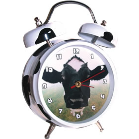 A modern twist on the traditionally styled metal alarm clock. Rather than expected bell  the