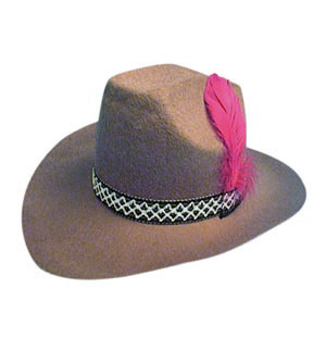 Brown felt cowboy hat with red feather for company. Hat can be purchased in other colours