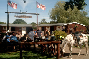 Unbranded Cowboy Riding Trail