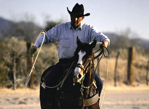 Unbranded Cowboy trail ride (for two)