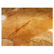 Unbranded Cowhide solid beige
