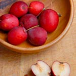 Unbranded Crab Apple Neville Coleman