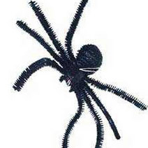 Unbranded CREEPY SPIDER
