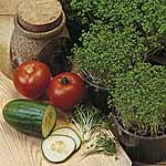 Unbranded Cress Extra Double Curled - 120g 434736.htm