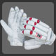 Cricket Batting Gloves