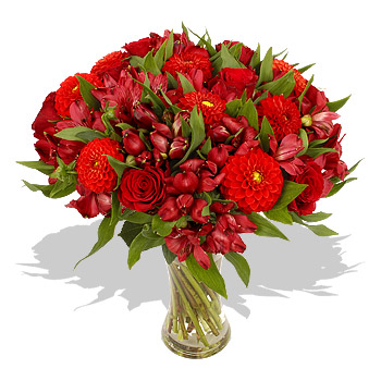 Unbranded Crimson - flowers