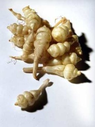 Unbranded Crosnes, 1kg