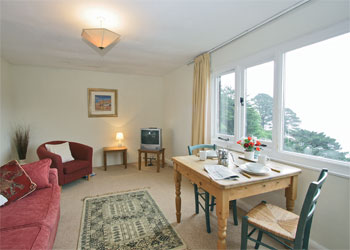 Unbranded Crows Nest