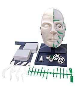 CSI Facial Reconstruction Kit