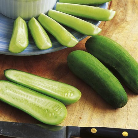 Unbranded Cucumber Green Fingers F1 Plants Pack of 3 Pot