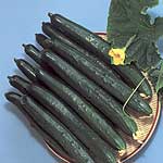Unbranded Cucumber Natsuhikari F1 Seeds 434981.htm