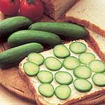 Unbranded Cucumber Rocky F1 Seeds 434795.htm