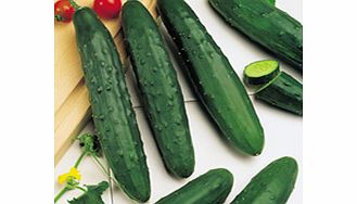 Unbranded Cucumber Seeds - Marketmore