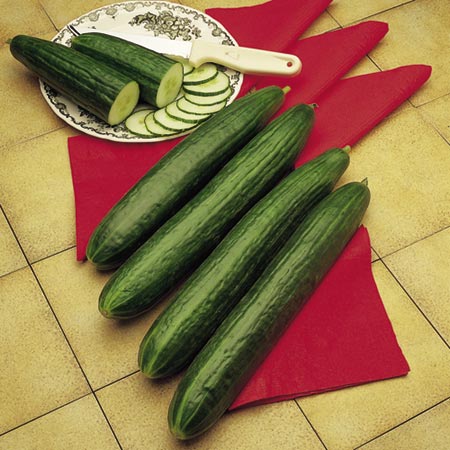 Unbranded Cucumber Telegraph Improved Seeds 9 seeds