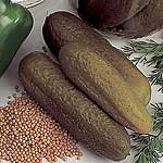 Unbranded Cucumber Venlo Pickling (Gherkin) Seeds 434892.htm