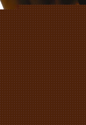 Body Up by I.D.Sarrieri, designed for the stylish