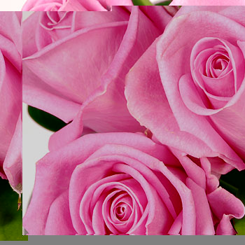 Unbranded Curcuma Rose Cube Arrangement - flowers