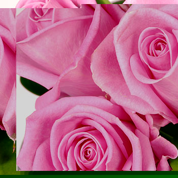 Unbranded Curcuma Rose Cube Arrangement - flowers