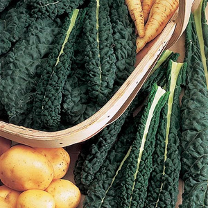 Unbranded Curly Kale Nero De Toscana Seeds