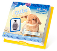 Unbranded Cute Overload Calendar (Cute Overload Calendar 2009)