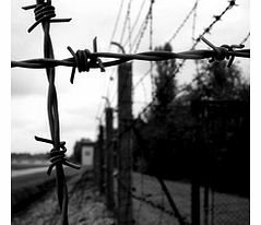 Unbranded Dachau Concentration Camp - Child