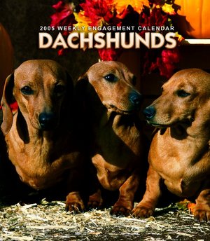 Dachhund Weekly Engagement Calendar