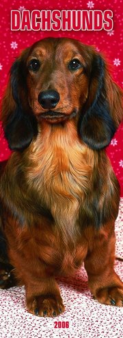 Dachshund - SLIM Calendar