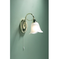 Unbranded DADOU0740 - 1 Light Brass Plated Wall Light