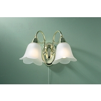 Unbranded DADOU09 - 2 Light Brass Plated Wall Light