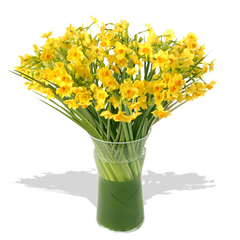 Unbranded Daffodils In A Vase - flowers
