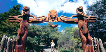 Unbranded Daily Schedule Tour