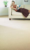 Dalton Twist Pile Carpet