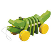 Unbranded Dancing Alligatore