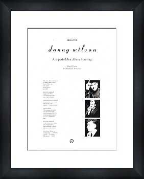 Unbranded DANNY WILSON