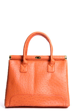 Unbranded Darcy Ostrich Effect Grab Bag