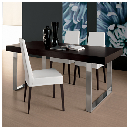 Modern Dining Table