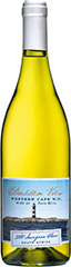 Dassen View Sauvignon Blanc 2008 WHITE South