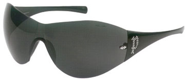 David Beckham Police Sunglasses S2941