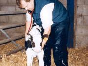 Day with a Country Vet