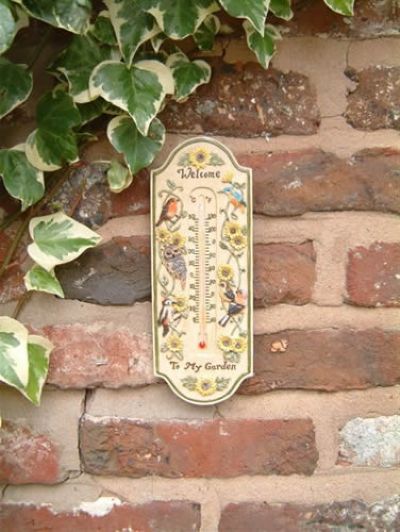 Unbranded Decorative Bird Thermometer