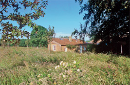 Unbranded Deer Park Cottage