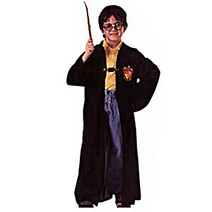 Deluxe robe, eyeglasses, tattoo scar and wand. Harry Potter character, names and related indicia are