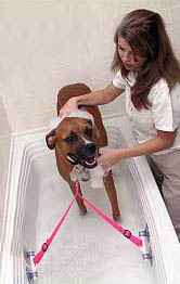 Deluxe Pet Restraint