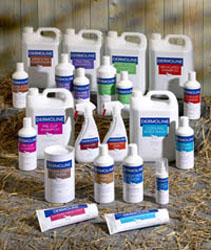 Unbranded Dermoline Herbal Shampoo for Horses