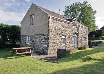 Unbranded Derwin Fawr