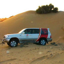 Unbranded Desert Safari and Sunset Barbecue - Adult