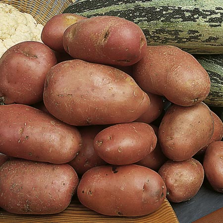 Unbranded Desiree Potatoes - 3 kg (Maincrop) 3 kg