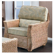 Unbranded Desser Conservatory Palma Chair